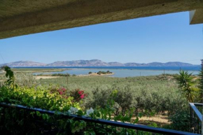 Hydra overlooking cottage.